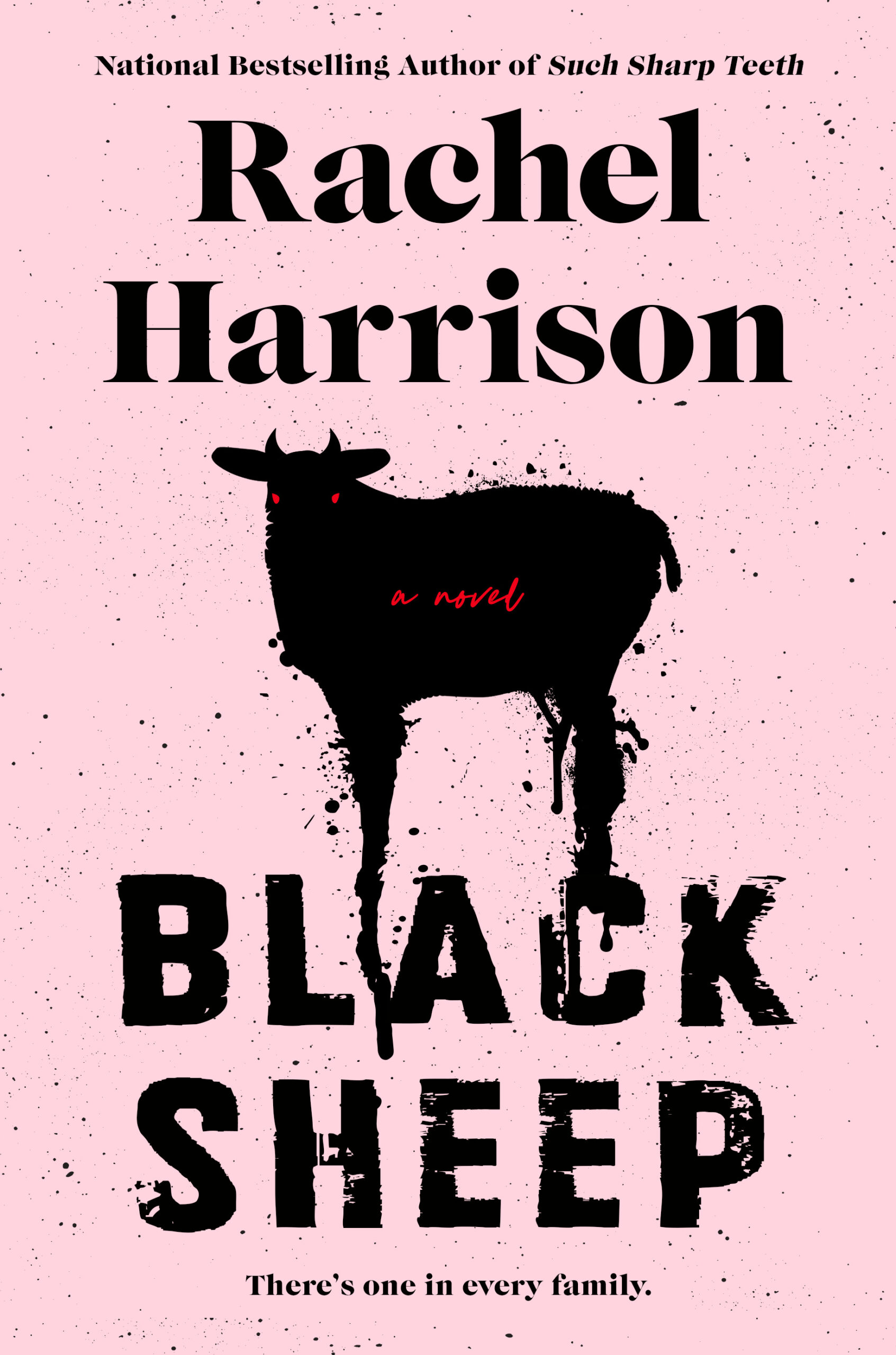 Read more about the article Black Sheep by Rachel Harrison